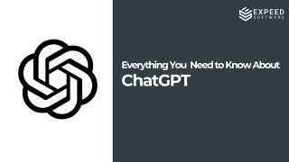 Everything You Need To Know About C...